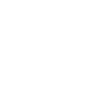 TikTok icon